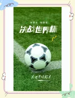 2026年世界杯官网(F